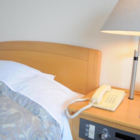 Tateyama Kokusai Hotel Toyama Station Pokój zdjęcie