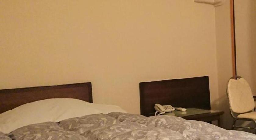 Tateyama Kokusai Hotel Toyama Station Zewnętrze zdjęcie