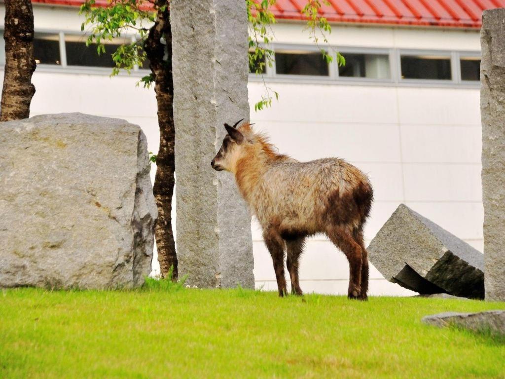 Tateyama Kokusai Hotel Toyama Station Zewnętrze zdjęcie